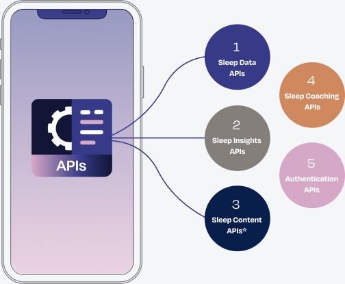 API Diagram